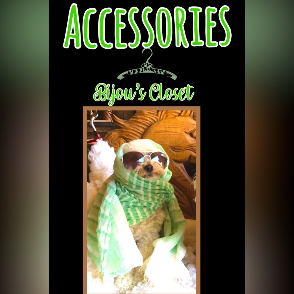 👜  Bijou’s Accessories!  🧳